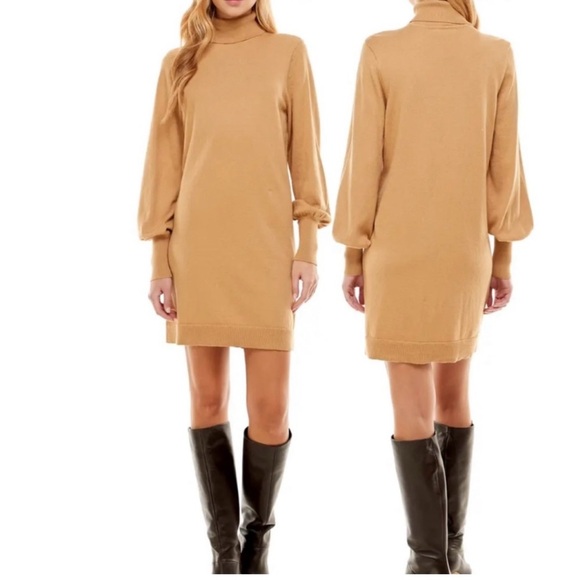 WAYF Morelia Long Sleeve Turtleneck Sweater Dress - Picture 1 of 3